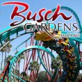 /album/nossas-viagens/busch-gardens-tampa-jpg/